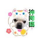 遊んでね〜、僕シアンっていうの（個別スタンプ：11）
