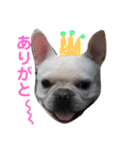 遊んでね〜、僕シアンっていうの（個別スタンプ：13）