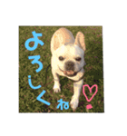 遊んでね〜、僕シアンっていうの（個別スタンプ：15）
