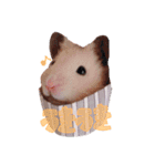キンクマちゃんのスタンプ（個別スタンプ：9）
