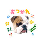 dogdogt（個別スタンプ：7）