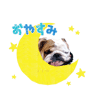 dogdogt（個別スタンプ：8）