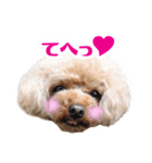 うめの友達★コノ＆マハロ★（個別スタンプ：1）