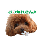 うめの友達★コノ＆マハロ★（個別スタンプ：2）