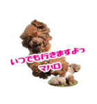 うめの友達★コノ＆マハロ★（個別スタンプ：5）