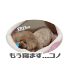 うめの友達★コノ＆マハロ★（個別スタンプ：6）