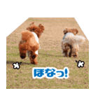 うめの友達★コノ＆マハロ★（個別スタンプ：8）