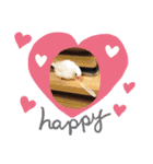 私の文鳥スタンプ②（個別スタンプ：11）