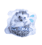 ハリネズミのノア＆カミー★2（個別スタンプ：9）