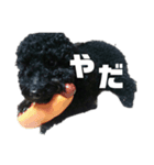 トイプードルのクゥ君②（個別スタンプ：2）