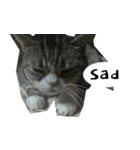 ふきげん猫ちび ver 2（個別スタンプ：15）