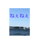 綺麗な風景の挨拶用スタンプ（個別スタンプ：7）