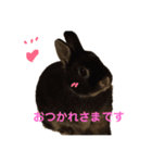 うぉるちゃん（個別スタンプ：1）