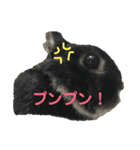 うぉるちゃん（個別スタンプ：2）