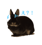 うぉるちゃん（個別スタンプ：3）