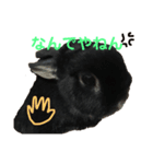 うぉるちゃん（個別スタンプ：5）
