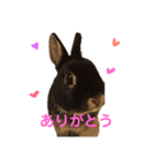うぉるちゃん（個別スタンプ：8）