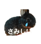 うぉるちゃん（個別スタンプ：9）