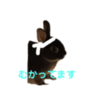 うぉるちゃん（個別スタンプ：10）