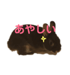 うぉるちゃん（個別スタンプ：14）