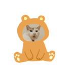 ビリー猫のstamp（個別スタンプ：8）
