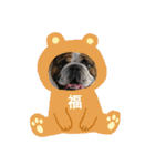 福丸スタンプ（個別スタンプ：22）