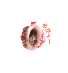 ももたろう＆きなこ（個別スタンプ：1）