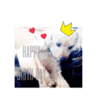 Rovi★stamp（個別スタンプ：4）