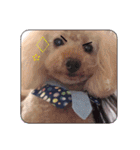 Rovi★stamp（個別スタンプ：7）