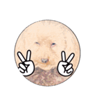 Rovi★stamp（個別スタンプ：14）