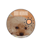 Rovi★stamp（個別スタンプ：15）