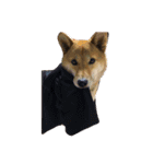 愛犬みかんちゃん 2（個別スタンプ：10）