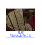 愛犬みかんちゃん 2（個別スタンプ：21）