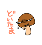 ゲスなめこ（個別スタンプ：14）