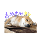 ちくちおこ（個別スタンプ：2）