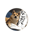 ちくちおこ（個別スタンプ：3）