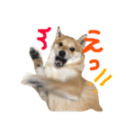 ちくちおこ（個別スタンプ：7）