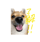ちくちおこ（個別スタンプ：10）