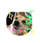ちくちおこ（個別スタンプ：15）