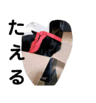Ienonyanko（個別スタンプ：4）