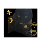 Ienonyanko（個別スタンプ：7）
