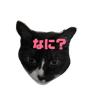まんまるしっぽのまる（個別スタンプ：2）