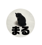 まんまるしっぽのまる（個別スタンプ：7）