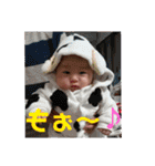 がーまるぽんぽこ～4month（個別スタンプ：16）