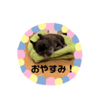 そうちゃんの毎日。（個別スタンプ：3）