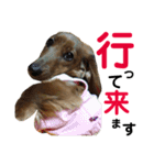 アンズまみれ（個別スタンプ：2）