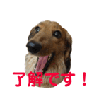 アンズまみれ（個別スタンプ：3）
