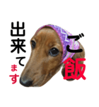 アンズまみれ（個別スタンプ：6）