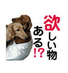 アンズまみれ（個別スタンプ：7）