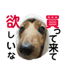 アンズまみれ（個別スタンプ：8）